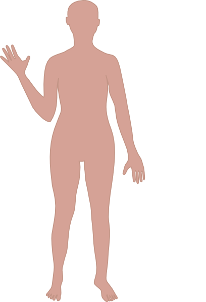 408x598 Person Outline Body Outline Clip Art