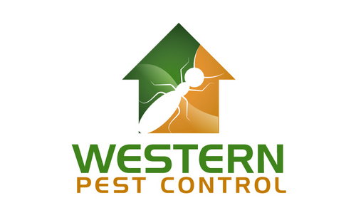 Pest Control Logo Vector at Vectorified.com | Collection of Pest ...