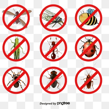 360x360 Pest Control Png Images Vector And Free Download