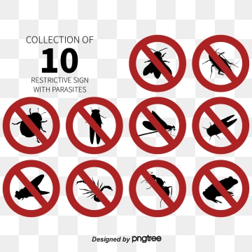 360x360 Pest Control Png, Vector, And Clipart With Transparent
