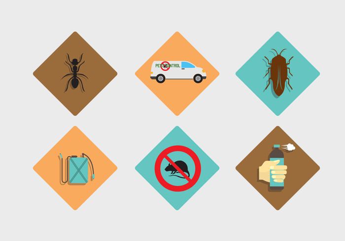 700x490 Pest Control Vector Flat Vector Art Vector Art, Pest Control