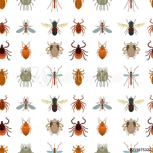 500x500 Human Skin Parasites Vector Housing Pests Insects Disease