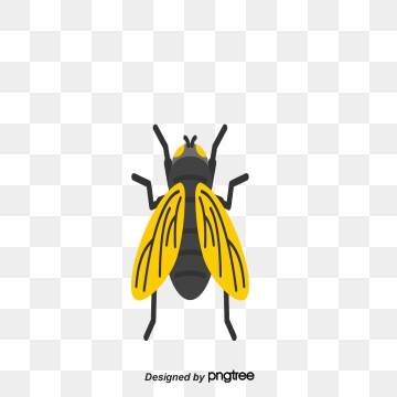 360x360 Pest Control Png, Vector, And Clipart With Transparent