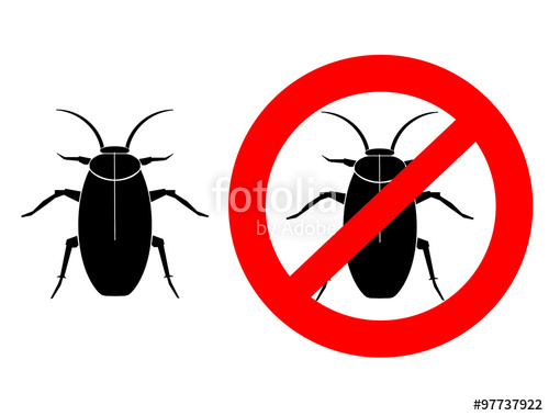 500x379 Cockroach, Insect, Control Of Insects, Beetle, Home, Pest