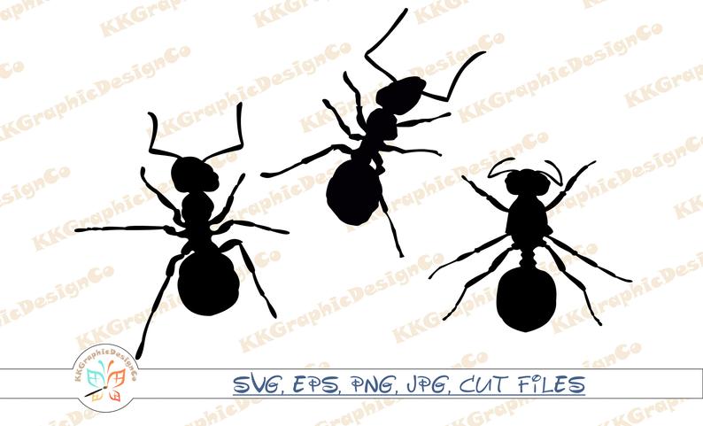 794x481 Ant Ant Vector Ant Clipart Insect Ants Ant Cricut Etsy