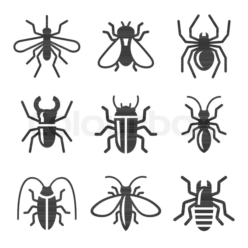800x800 Beetle, Insect And Bug Icons Set Stock Vector Colourbox