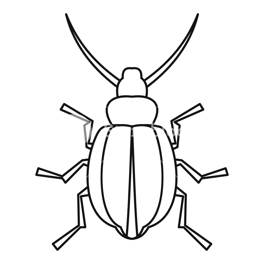 1000x1000 Beetle Insect Icon Outline Illustration Of Beetle Insect Vector