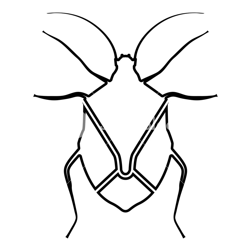 1000x1000 Bug Bedbug Chinch True Bugs Hemipterans Insect Pest Icon Black