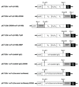 Figure 272x300 Figure