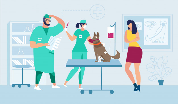 Medical Help For Injured Pet Vector Premium Download 626x367 Medical Help For Injured Pet Vector Premium Download