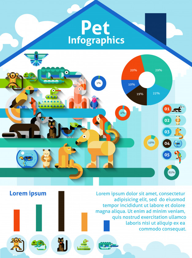 Pet Infographics Set Vector Free Download 626x843 Pet Infographics Set Vector Free Download