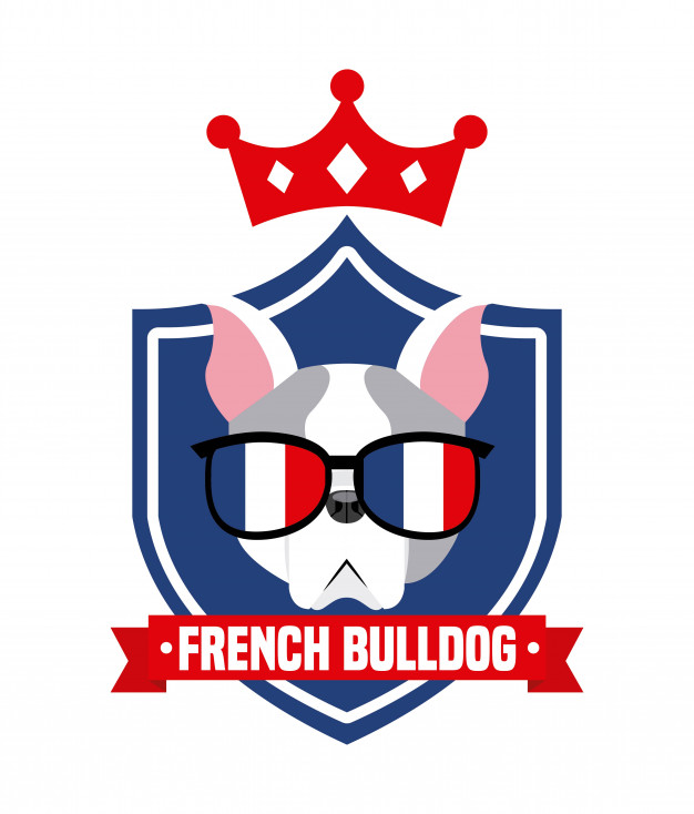 Pet Service Design, Vector Illustration Graphic Vector 626x734 Pet Service Design, Vector Illustration Graphic Vector