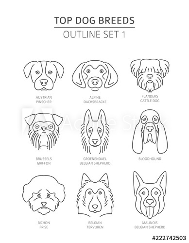 Top Dog Breeds Pet Outline Collection Vector Illustration 389x500 Top Dog Breeds Pet Outline Collection Vector Illustration
