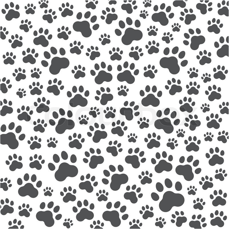 Cat Or Dog Paws Background Vector Stock Vector Colourbox 800x800 Cat Or Dog Paws Background Vector Stock Vector Colourbox