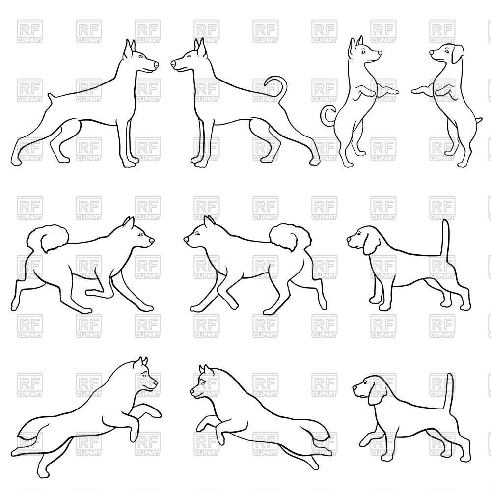 Pet Background Vector at Vectorified.com | Collection of Pet Background Vector free for personal use