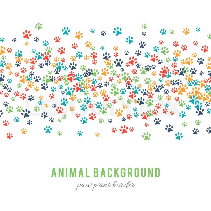 Colorful Dog Paw Prints Background Stock Vector Colourbox 800x800 Colorful Dog Paw Prints Background Stock Vector Colourbox