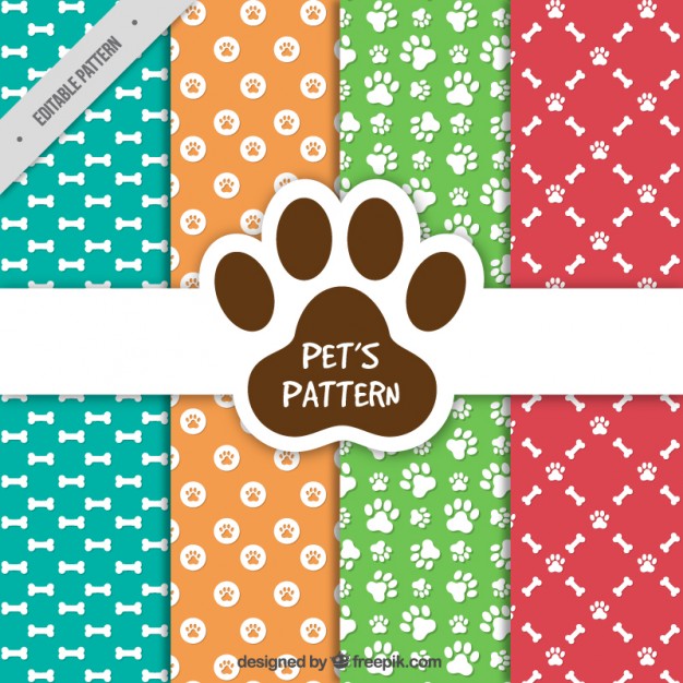 626x626 Pet Pattern Collection Vector Free Download