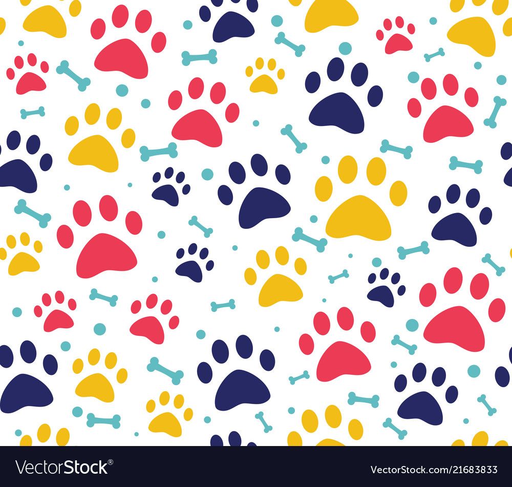 Pet Pattern Vector at Collection of Pet Pattern