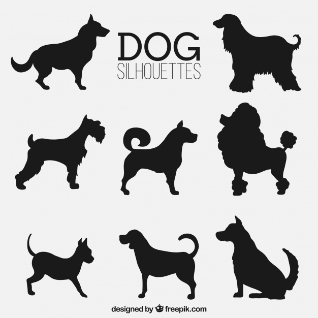 626x626 Dog Silhouette Vectors, Photos And Free Download