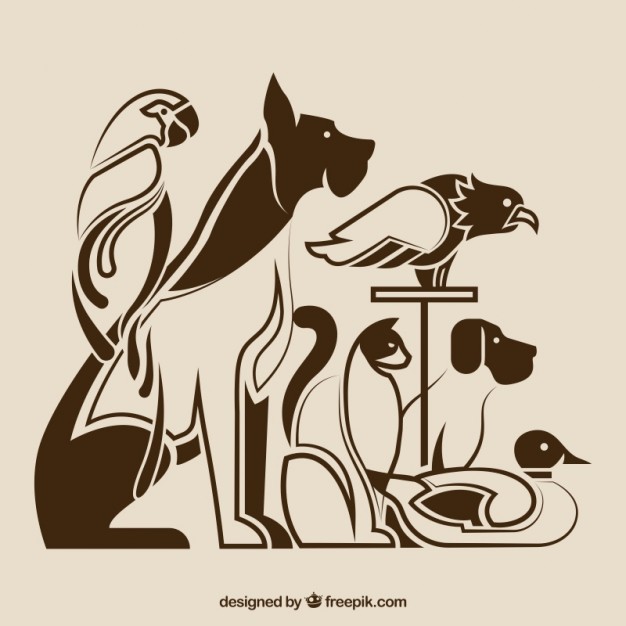 626x626 Pet Silhouettes Vector Free Download