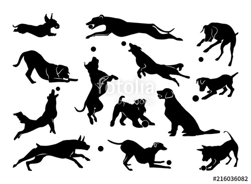 500x367 Set Of Pet Silhouettes Dogs With Ball Stock Image And Royalty
