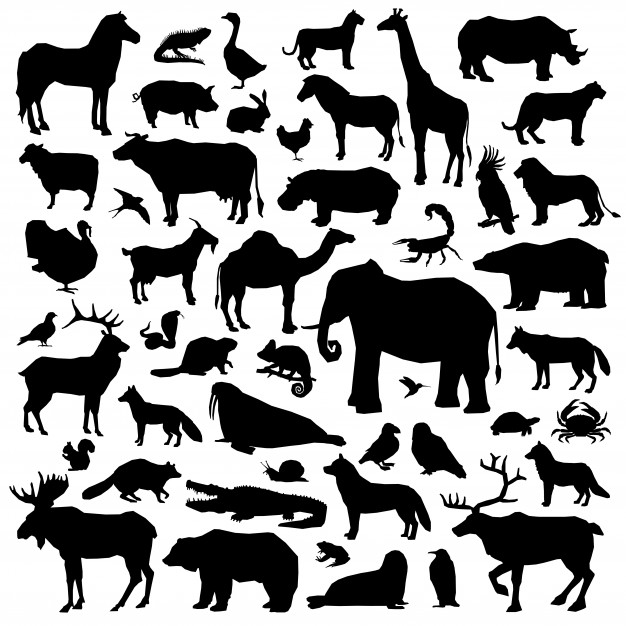 626x626 Animal Silhouettes Vectors, Photos And Free Download