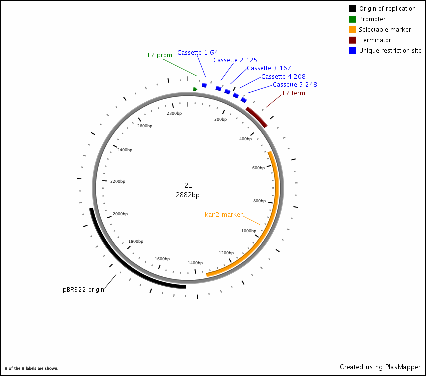 850x750 Addgene Pet Empty Polycistronic Destination Vector