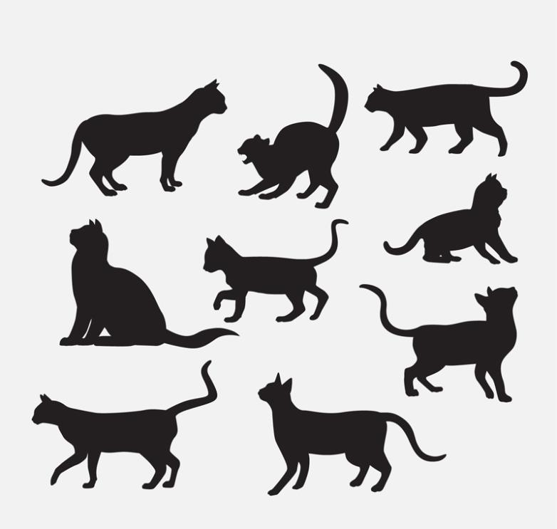Nine New Pet Cat Silhouette Vector Free Vector Graphic Download 782x743 Nine New Pet Cat Silhouette Vector Free Vector Graphic Download