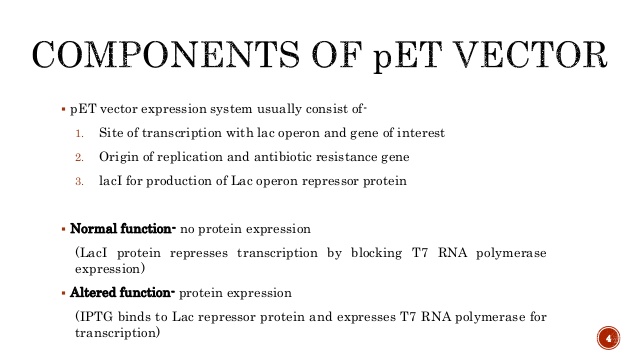 Pet Vectors 638x359 Pet Vectors