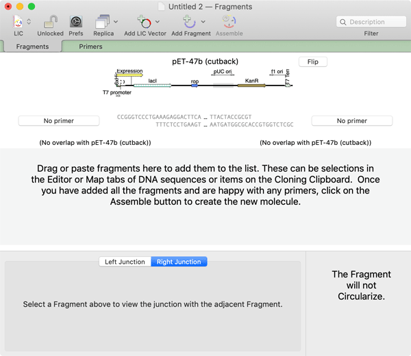 600x521 Gibson Assembly