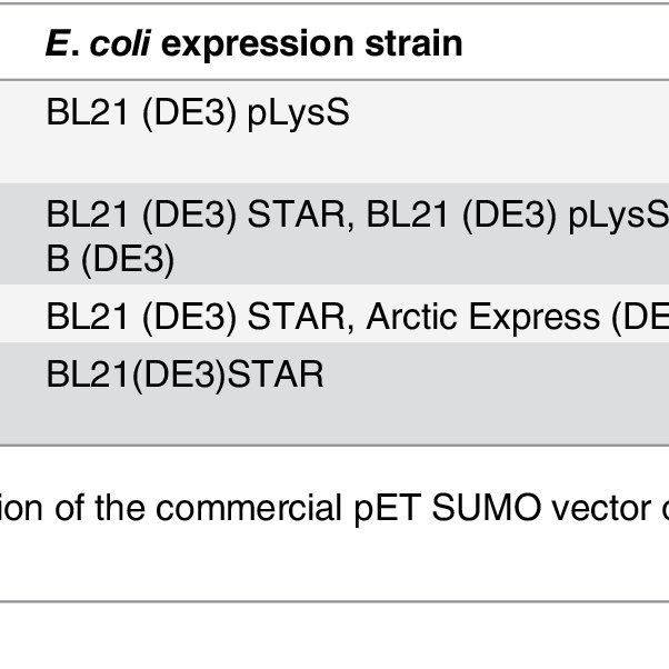 602x602 List Of Vectors And E Coli Expression Strains Used