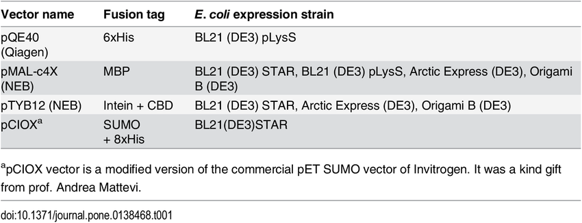 850x326 List Of Vectors And E Coli Expression Strains Used