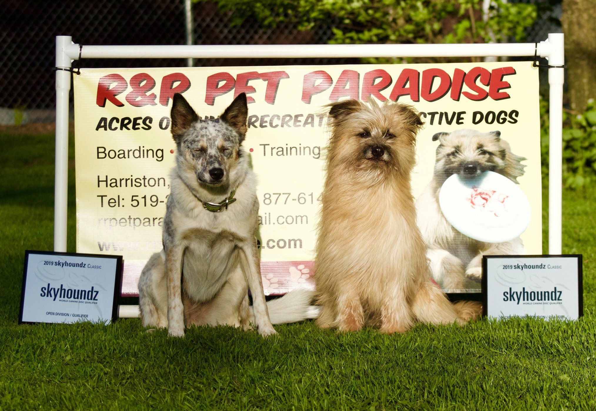 2027x1399 R R Pet Paradise