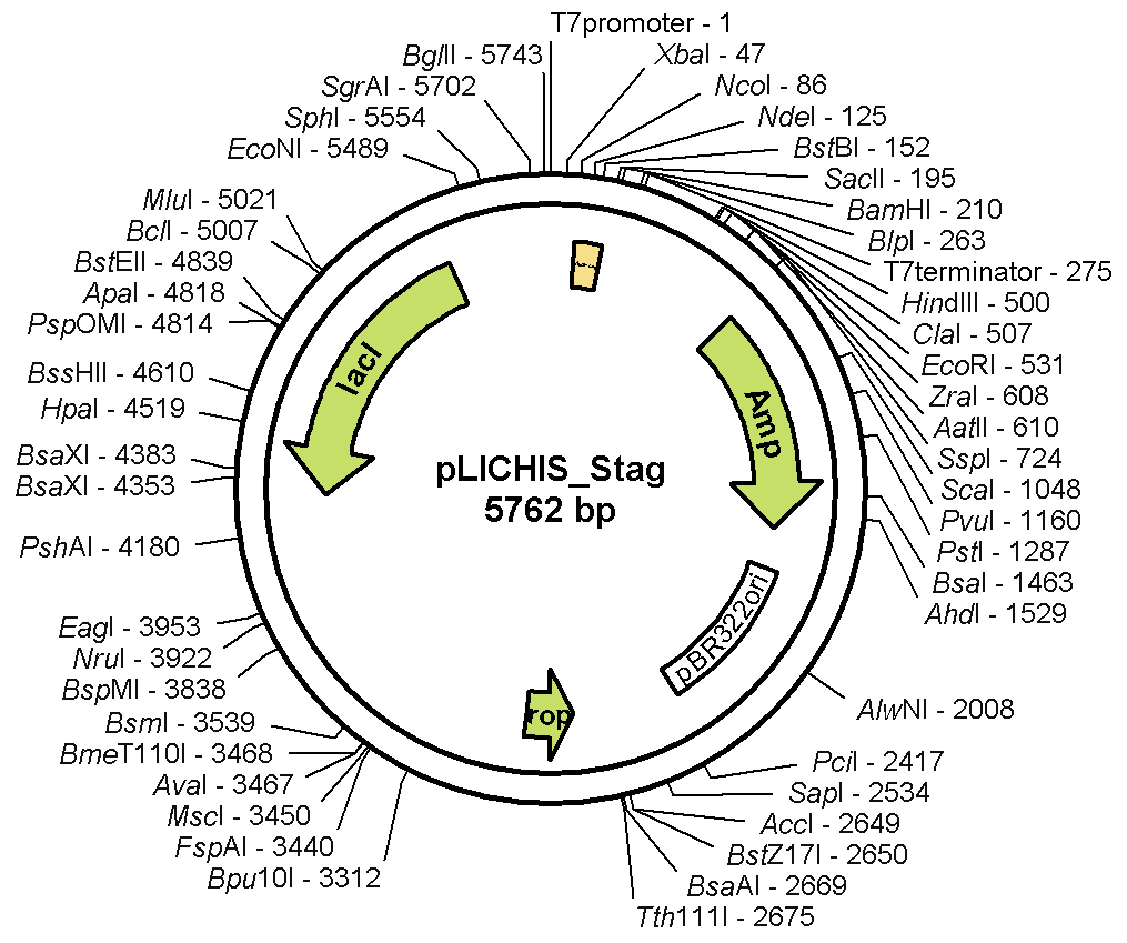Structural Proteomics Group Nmr Spectroscopy Utrecht Sequences 1015x849 Structural Proteomics Group Nmr Spectroscopy Utrecht Sequences
