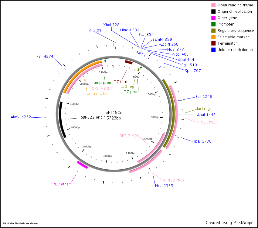 Vector Detail 850x750 Vector Detail