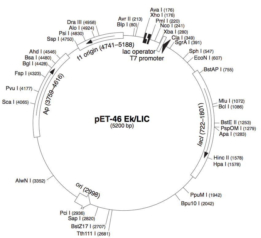 A L Vector Map B Pet Eklic Vector Map Download 850x776 A L Vector Map B Pet Eklic Vector Map Download