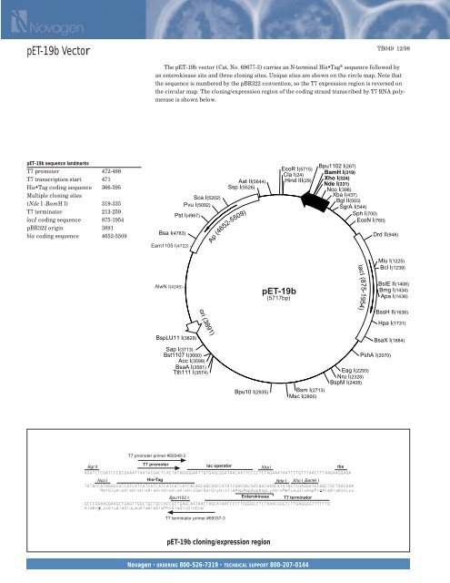 Pet Vector 495x640 Pet Vector