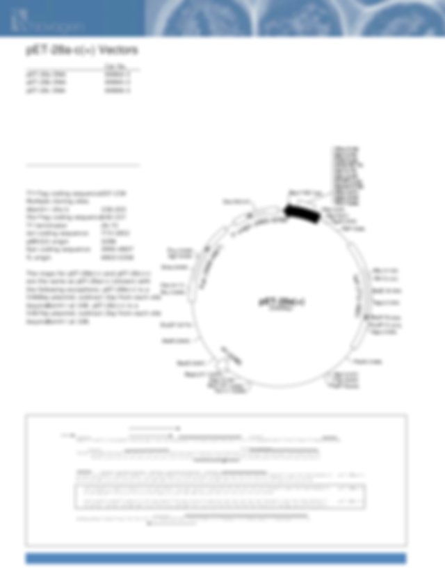 Pet Vector Map 640x829 Pet Vector Map