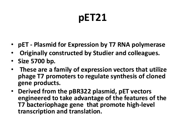 638x479 Cloning Vectors