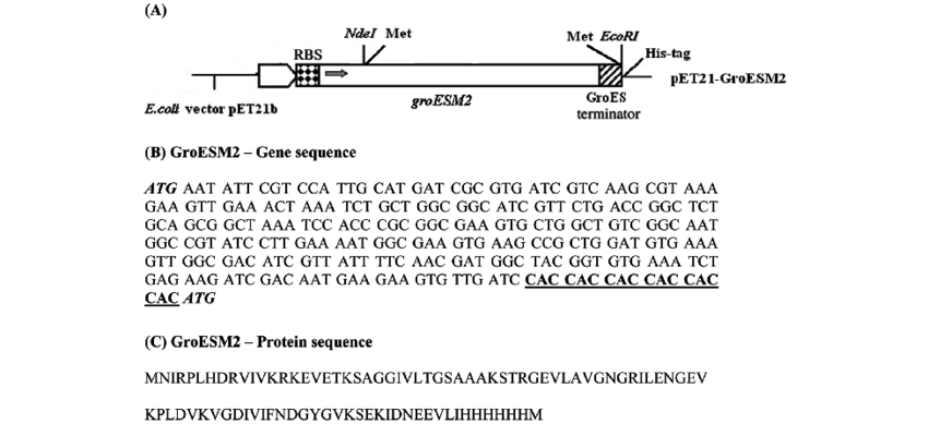 850x389 Construction Of Vector