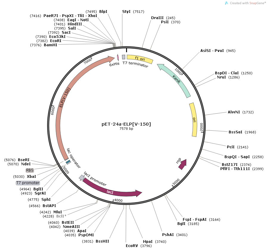 Vector Map Related Keywords Suggestions 899x838 Vector Map Related Keywords Suggestions