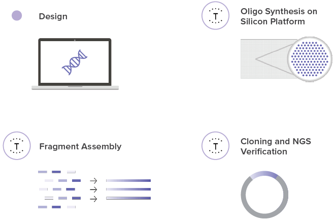 Clonal Genes Lncbio 662x435 Clonal Genes Lncbio