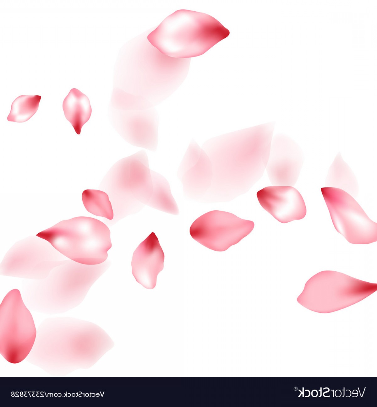 Flower Petal Vector Lamaison 1200x1296 Flower Petal Vector Lamaison