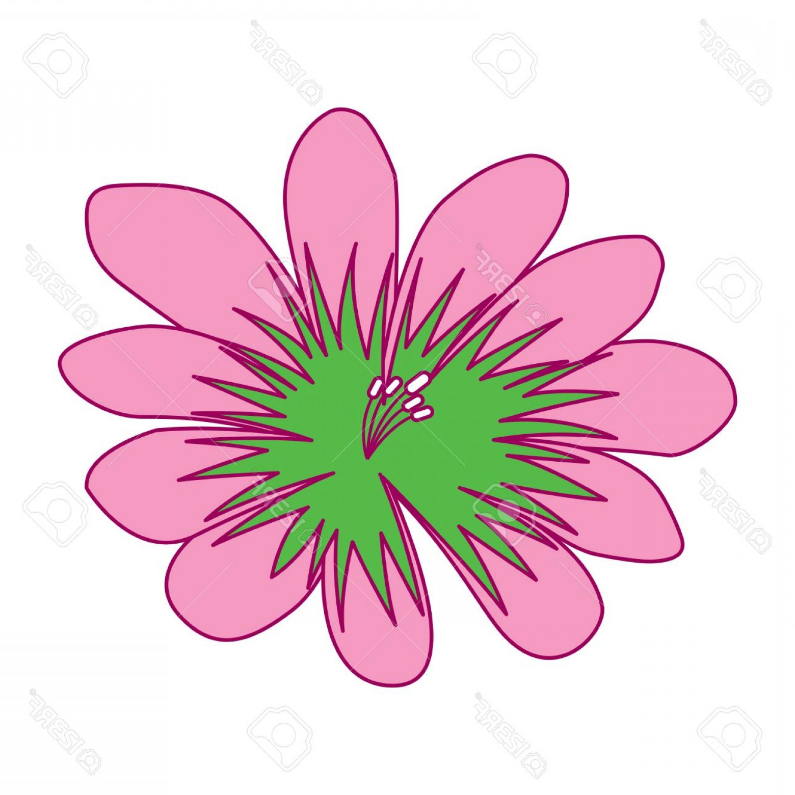Green Petals Vector Cqrecords 1560x1560 Green Petals Vector Cqrecords