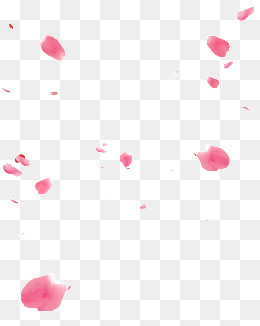 Petal Png Images, Download Petal Png Resources 260x326 Petal Png Images, Download Petal Png Resources