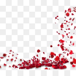 Rose Petal Png, Vector, And Clipart With Transparent 260x260 Rose Petal Png, Vector, And Clipart With Transparent