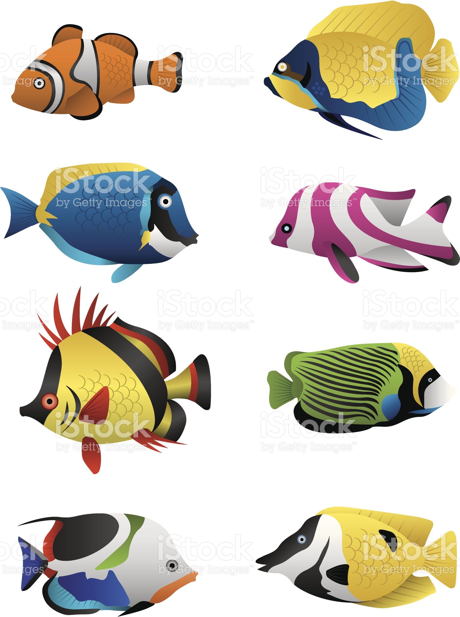 A Colorful Assortment Of Tropical Fish Illustrated In Vector 1529x2048 A Colorful Assortment Of Tropical Fish Illustrated In Vector