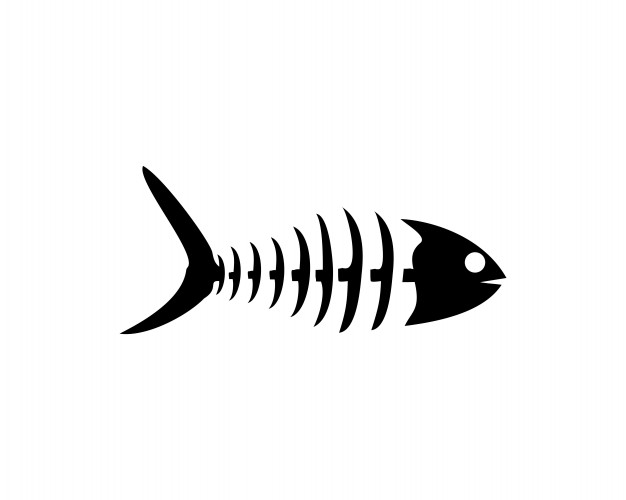 Bone Fish Vector Vector Premium Download 626x500 Bone Fish Vector Vector Premium Download