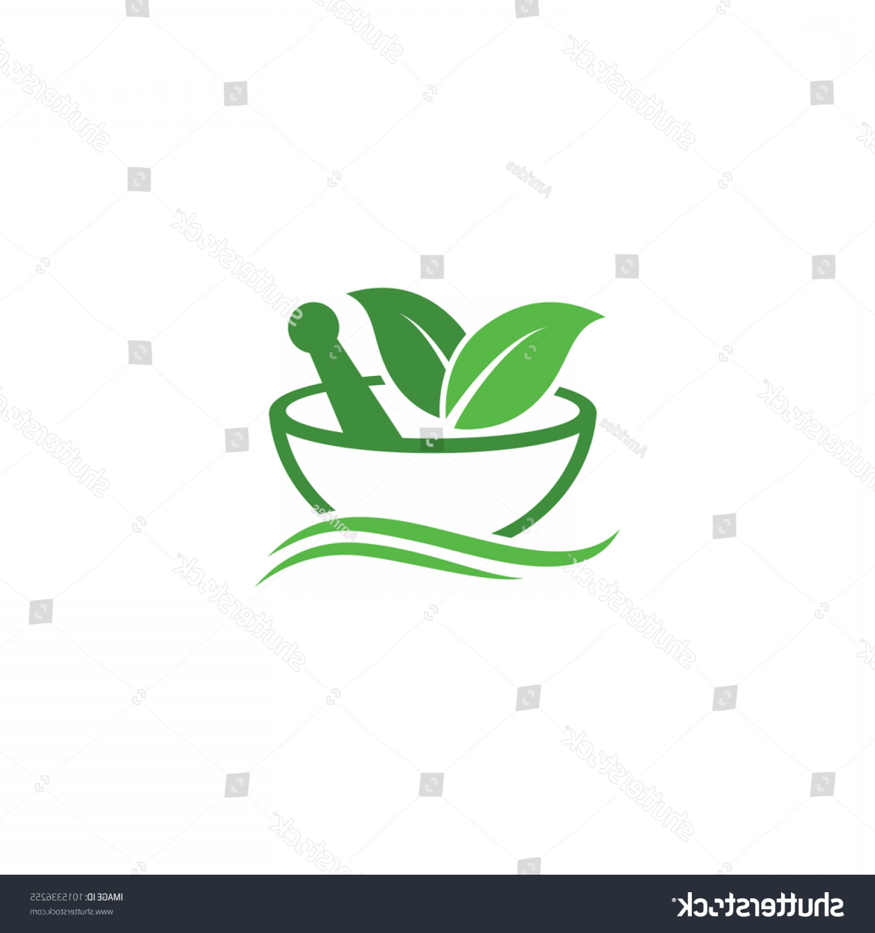 1800x1920 Pharmacy Logos Vector Savoyuptown