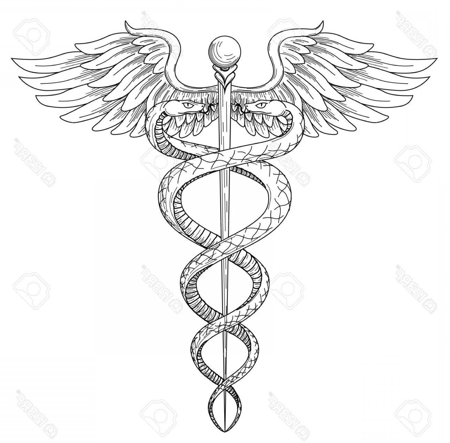 Pharmacy Symbol Vector at Vectorified.com | Collection of Pharmacy ...